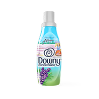 Downy Alfazema