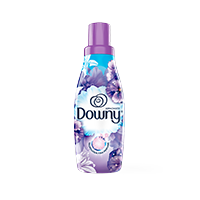 Downy Lirios